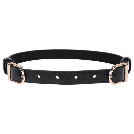 Sex & Mischief Double Buckle Day Collar - Collar