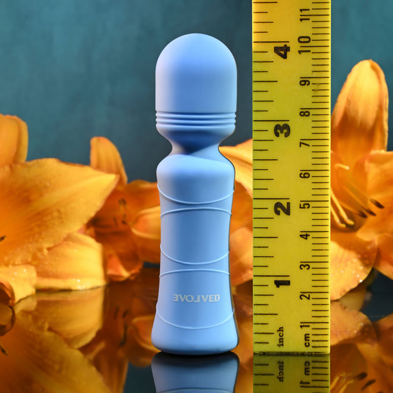 Evolved Out Of The  -  10.5 cm USB Rechargeable Mini Massager Wand
