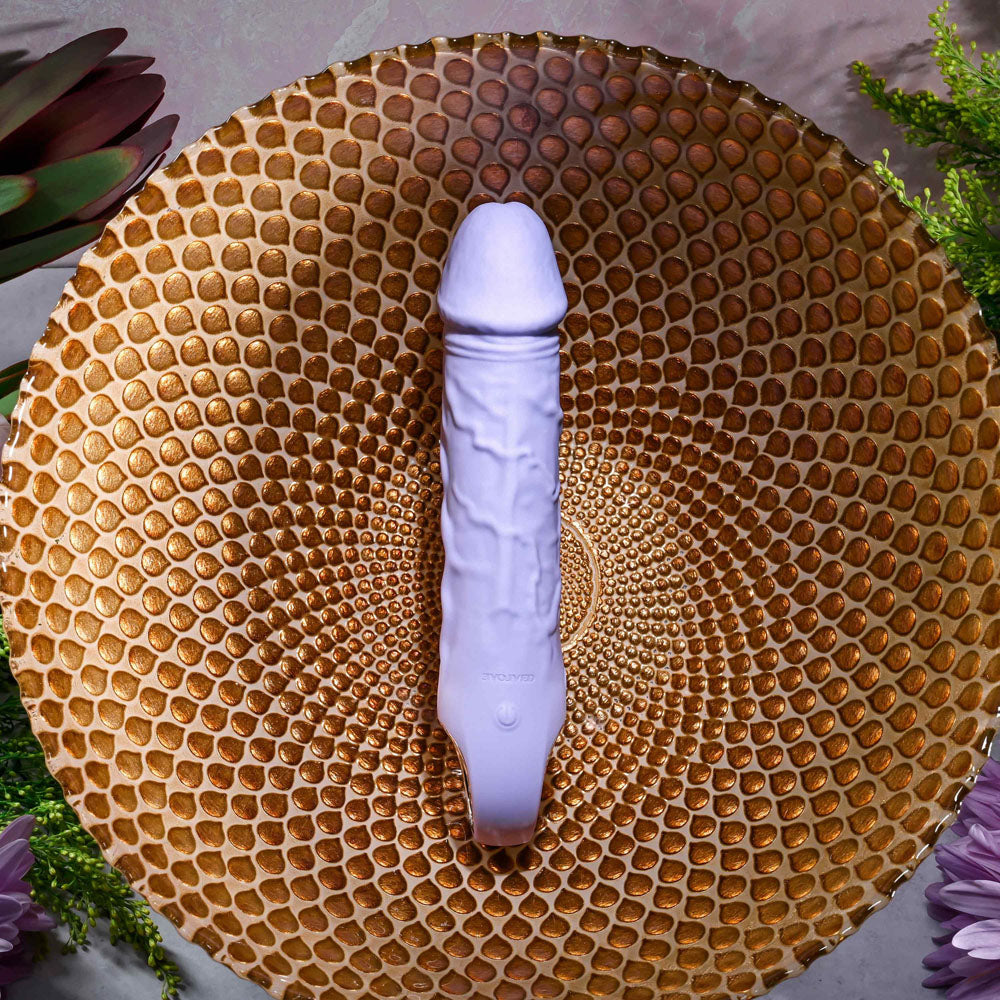 Evolved  FANTASY -  18.4 cm USB Rechargeable Vibrator