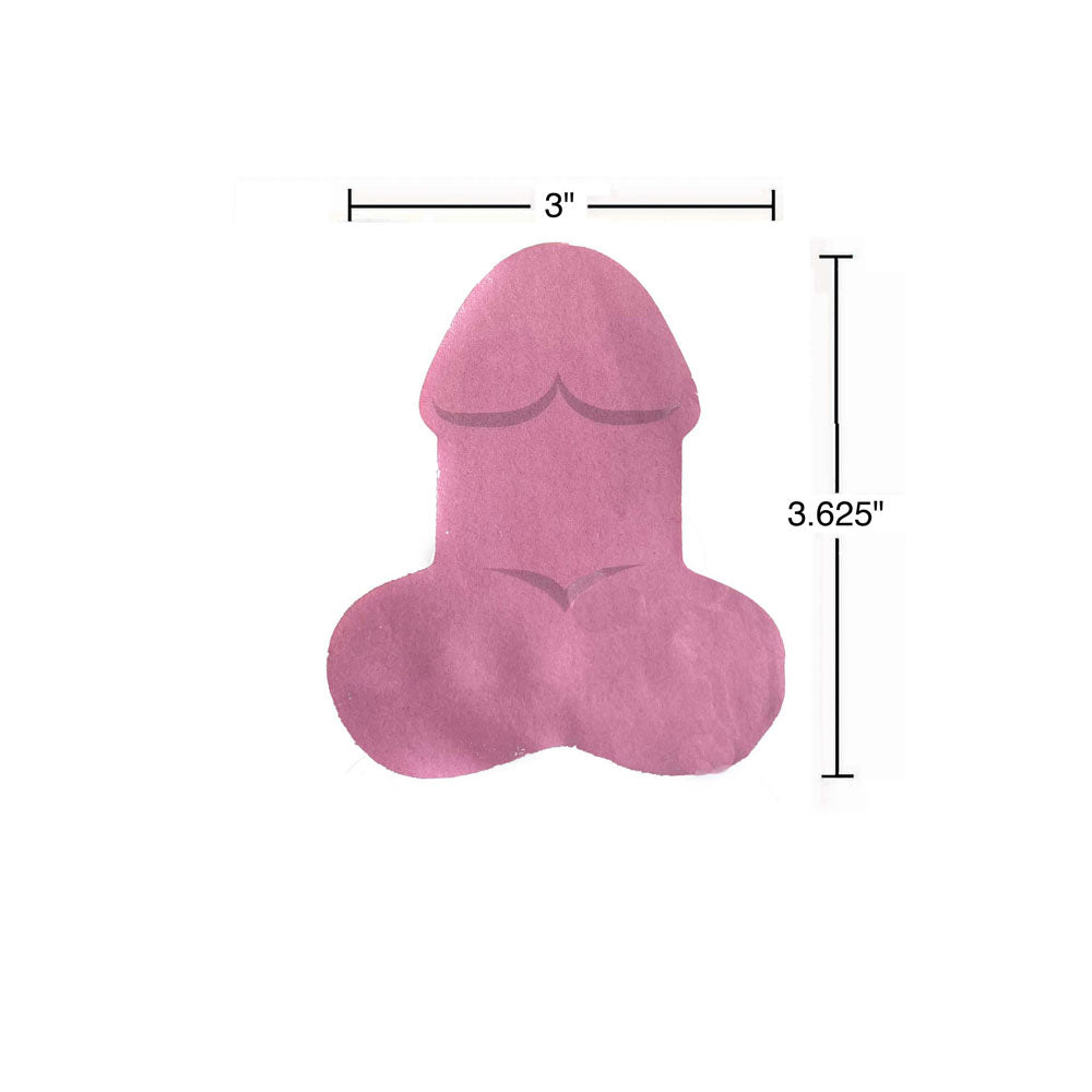 Super Fun Penis Sticky Notes - Multi  Novelty Sticky Notes - 100 Pack