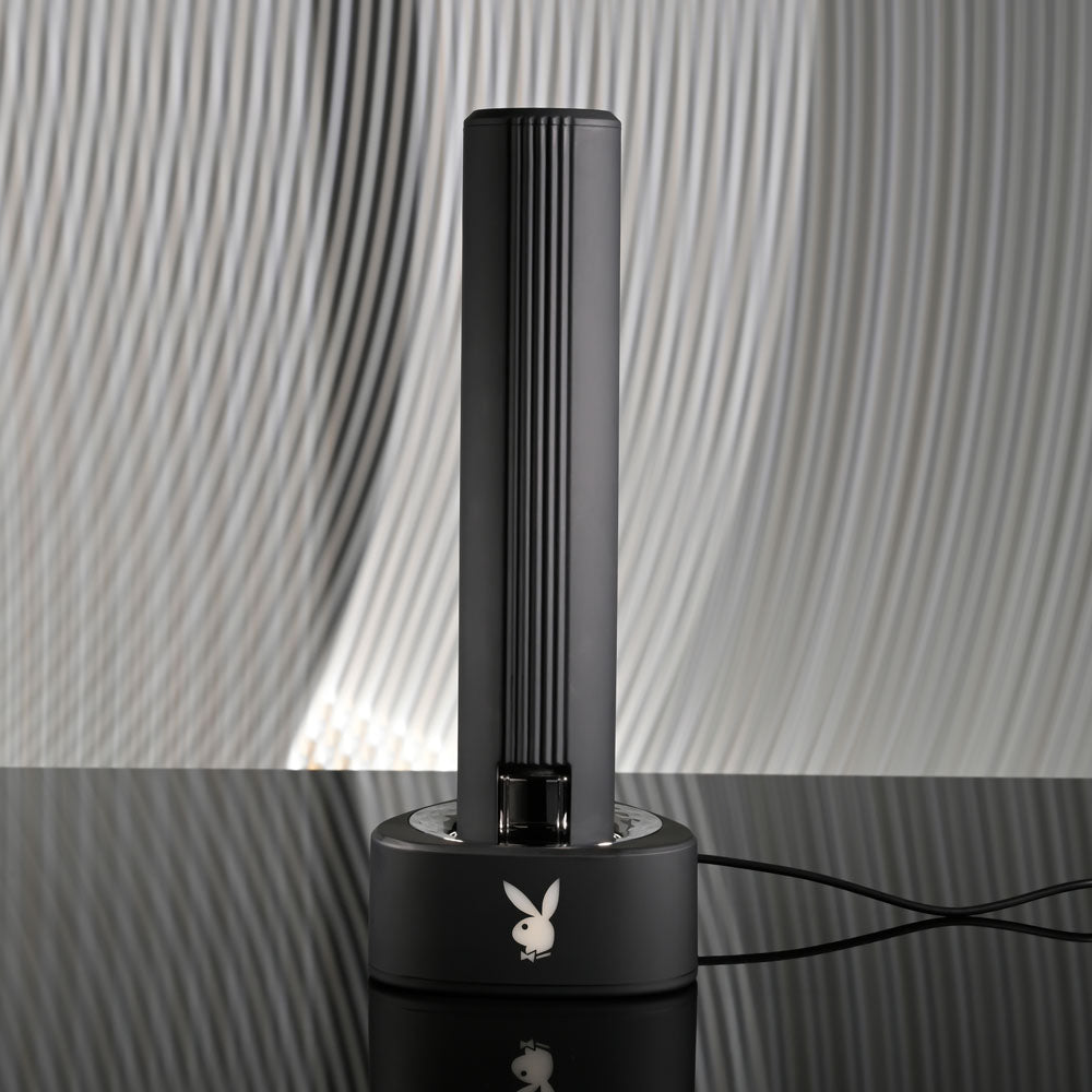 Playboy Pleasure PLEASURE ZONE -  21.4 cm Rechargeable Vibrator with USB Charging Dock