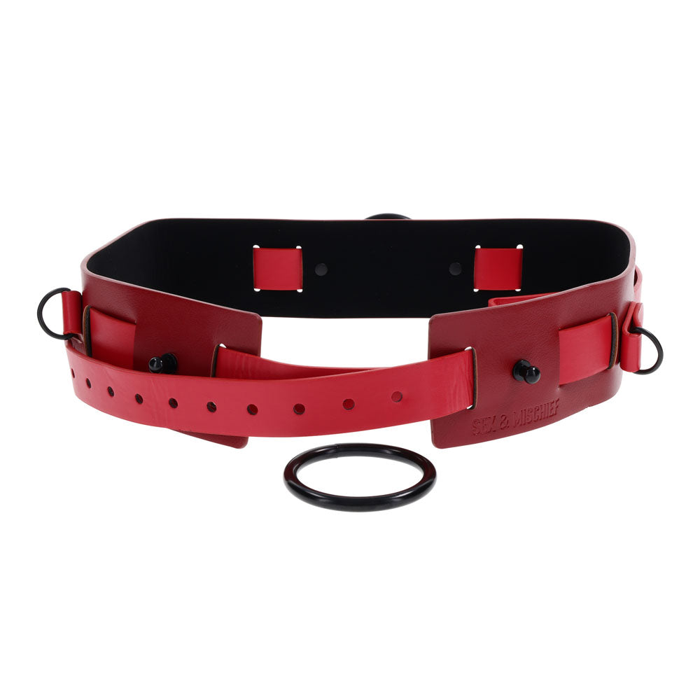 S&M Exs & Ohs Bound and Belted -  Bondage Belt