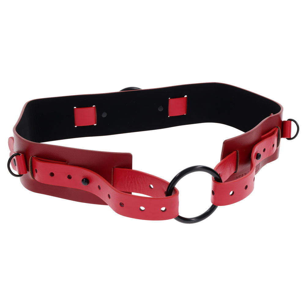 S&M Exs & Ohs Bound and Belted -  Bondage Belt